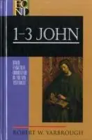 1–3 John - Robert W. Yarbrough - Robert Yarbrough - Libro in lingua inglese - Baker Publishing Group - Lage Prijs