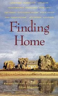 Finding Home - Peter H. Sauer - Libro in lingua inglese - Beacon Press - Concord Library Nu Kopen