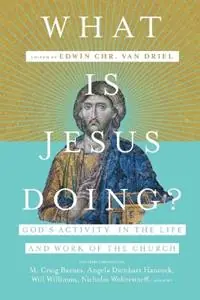 Actieprijs What Is Jesus Doing? – God`s Activity in the Life and Work of the Church - Edwin Chr. Van Driel - Libro in lingua inglese - IVP Academic -