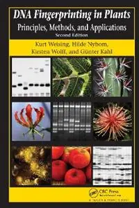 Gecertificeerd DNA Fingerprinting in Plants Principles, Methods, and Applications, Second Edition - Kurt Weising - Hilde Nybom - Libro in lingua inglese - Taylor & Francis Inc -
