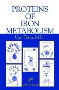 Rechtstreeks Van De Fabrikant Proteins of Iron Metabolism - Ugo Testa - Libro in lingua inglese - Taylor & Francis Inc -