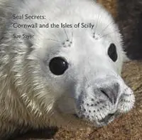 Exclusieve Aanbieding Seal Secrets Cornwall and the Isles of Scilly - Sue Sayer - Libro in lingua inglese - Alison Hodge - Pocket Cornwall