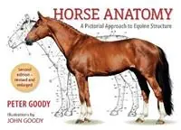 Horse Anatomy A Pictorial Approach to Equine Structure - Peter Goody - Libro in lingua inglese - The Crowood Press Ltd - Flitsaanbieding
