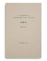 On Swedenborg, Skateboarding and Sunlight - Toby Litt - Libro in lingua inglese - The Swedenborg Society - Swedenborg Archive Series Gecertificeerd