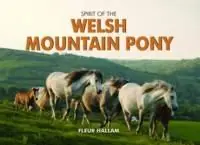 Spirit of the Welsh Mountain Pony - Fleur Hallam - Libro in lingua inglese - PiXZ Books - Spirit of Britain Direct Beschikbaar