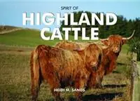 Spirit of Highland Cattle - Heidi M. Sands - Libro in lingua inglese - PiXZ Books - Spirit of Britain Flitsaanbieding