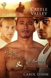 Making the Grade - Carol Lynne - Libro in lingua inglese - Totally Entwined Group Limited - Cattle Valley Direct Verzonden
