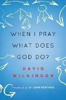 Must-Have When I Pray, What Does God Do? - David Wilkinson - Libro in lingua inglese - SPCK Publishing -