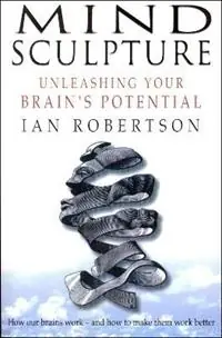 Mind Sculpture Your Brain‘s Untapped Potential - Ian Robertson - Libro in lingua inglese - Transworld Publishers Ltd - Goedkoop