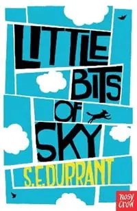 Little Bits of Sky - S. E. Durrant - Libro in lingua inglese - Nosy Crow Ltd - Weekendaanbieding