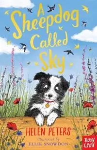 A Sheepdog Called Sky - Helen Peters - Libro in lingua inglese - Nosy Crow Ltd - The Jasmine Green Series Flitsaanbieding