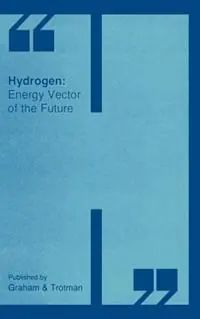 Beperkt Aanbod Hydrogen Energy Vector of the Future - Libro in lingua inglese - Kluwer Academic Publishers Group -