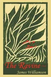 The Ravine - James Williamson - Libro in lingua inglese - Sunstone Press - Koop Vandaag