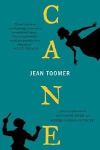 Cane - Jean Toomer - Libro in lingua inglese - W W Norton & Co Ltd - Korting