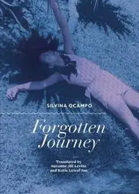 Actieprijs Forgotten Journey - Silvina Ocampo - Libro in lingua inglese - City Lights Books -