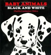 Koopje Baby Animals Black and White - Phyllis Limbacher Tildes - Libro in lingua inglese - Charlesbridge Publishing,U.S. -