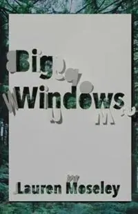 Premium Big Windows - Lauren Moseley - Libro in lingua inglese - Carnegie-Mellon University Press -