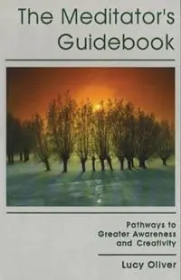 Alleen Vandaag The Meditator‘s Guidebook Pathways to Greater Awareness & Creativity - Lucy Oliver - Libro in lingua inglese - Inner Traditions Bear and Company -