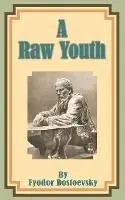 Bestel Nu A Raw Youth - Fyodor M Dostoevsky - Libro in lingua inglese - International Law and Taxation Publishers -
